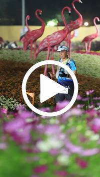 BIB:  <button type="button" onclick="openModal(27590999)" class="btn btn-primary btn-sm float-right" data-toggle="modal" data-target=".modal-high-quality">
                <i class="fa fa-download"></i> Download
                </button>